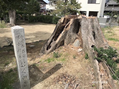 写真 2018-10-07 11 26 39.jpg