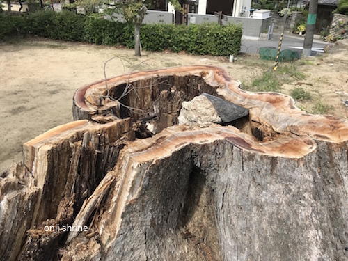 写真 2018-10-07 11 26 46.jpg