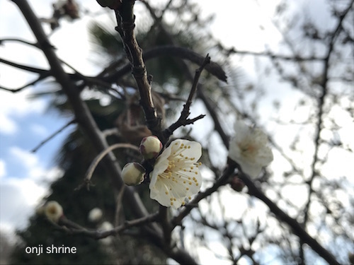 写真 2019-01-29 14 40 29.jpg