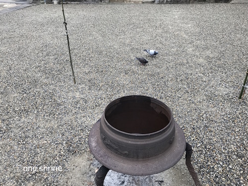 写真 2019-02-11 13 38 46.jpg