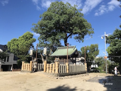 Photo 2018-07-31 7 37 27.jpg