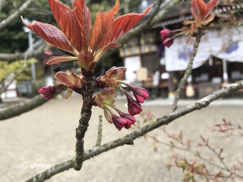 Photo 2019-04-10 16 58 53.jpg
