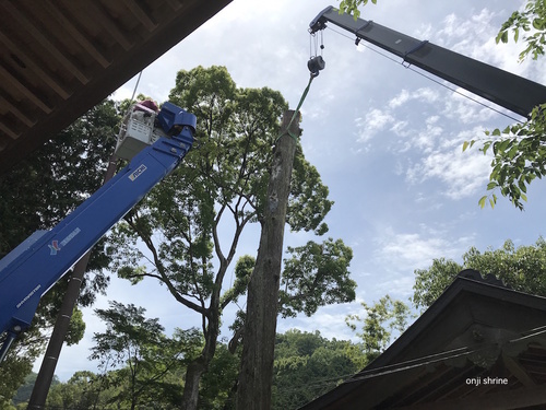 Photo 2019-05-27 11 21 53.jpg