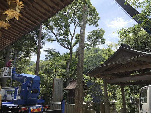 Photo 2019-05-27 11 23 20.jpg