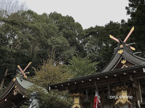 写真 2019-02-27 12 52 51.jpg
