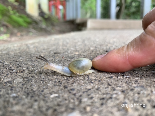 写真 2019-06-16 9 09 15.jpg