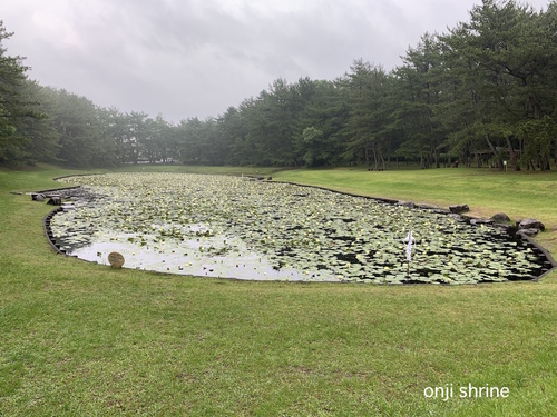 写真 2019-06-19 9 46 36.jpg