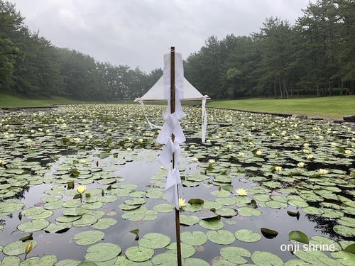 写真 2019-06-19 9 46 55.jpg