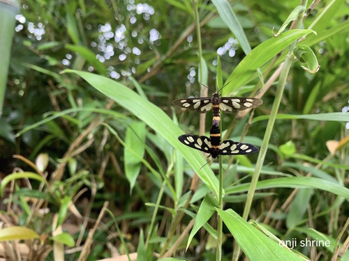 写真 2019-06-21 8 51 02.jpg