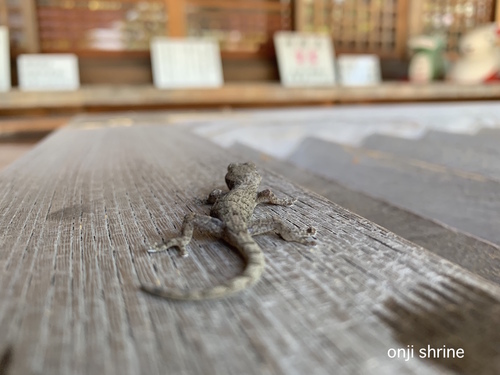 写真 2019-06-22 8 53 29.jpg