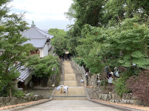 写真 2019-07-07 7 18 51.jpg