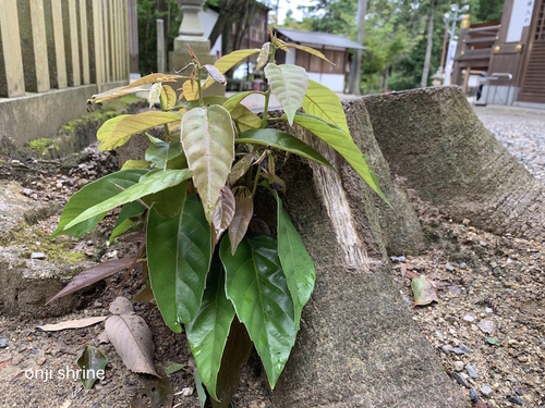 写真 2019-07-13 8 54 38.jpg