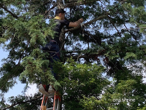 写真 2019-08-02 9 53 02.jpg