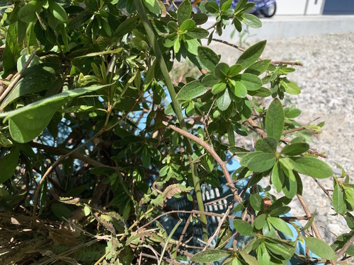 写真 2019-08-10 10 31 00.jpg