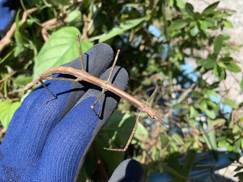 写真 2019-08-10 10 31 15.jpg