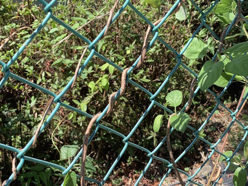 写真 2019-08-10 10 33 07.jpg