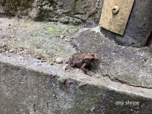 写真 2019-08-13 10 08 50.jpg