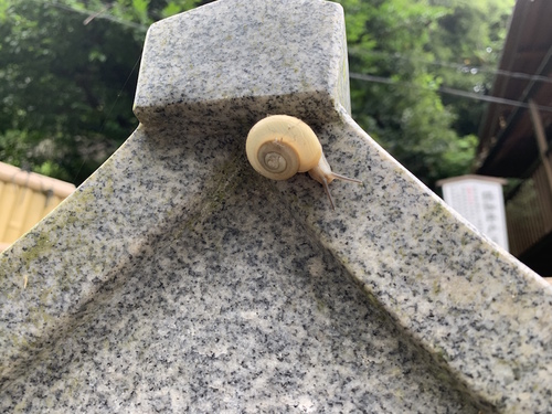 写真 2019-08-16 8 21 31.jpg