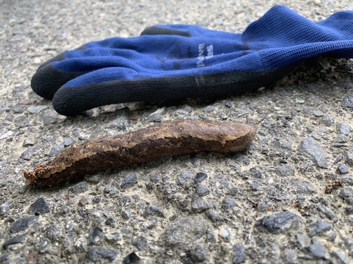 写真 2019-08-18 8 12 41.jpg