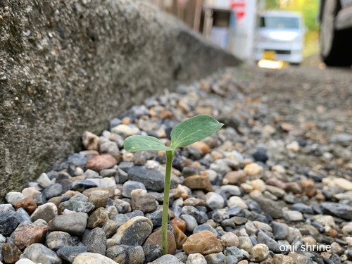 写真 2019-08-29 18 05 07.jpg