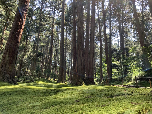 写真 2019-09-10 11 12 32.jpg