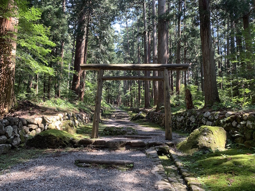 写真 2019-09-10 11 27 15.jpg