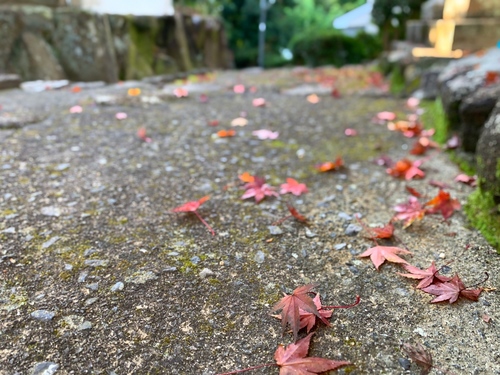写真 2019-11-29 8 21 06.jpg