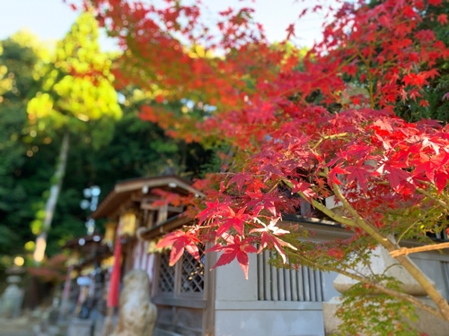 写真 2019-11-29 8 53 45.jpg