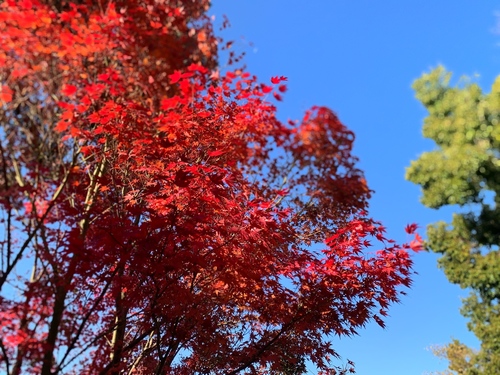写真 2019-11-29 8 56 19.jpg