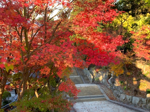写真 2019-11-29 8 57 10.jpg