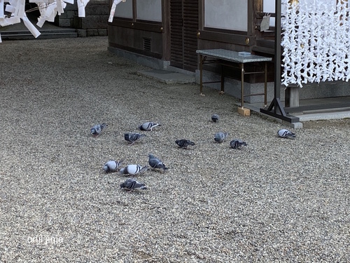 写真 2020-02-02 7 53 58.jpg