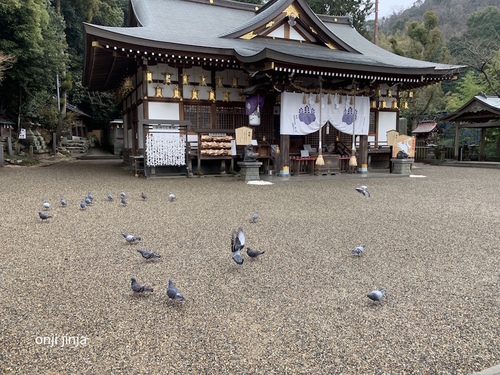写真 2020-02-13 10 05 12.jpg