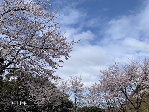 写真 2020-03-29 9 24 15.jpg