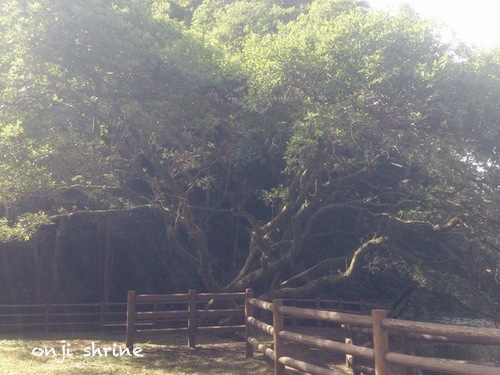 写真 Oct 15, 10 16 55 AM.jpg