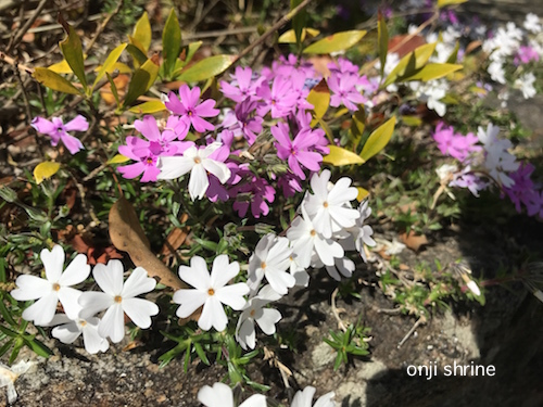Photo 2018-04-08 14 12 15.jpg