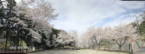 Photo 2019-04-05 9 12 54.jpg