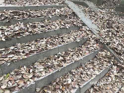 Photo 2019-04-22 8 42 51.jpg
