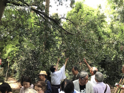 Photo 2019-06-04 10 55 52.jpg