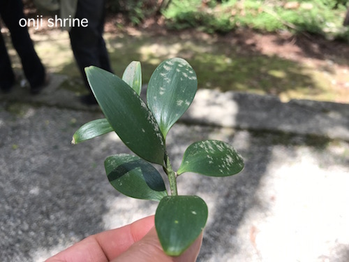 Photo 2019-06-04 10 57 20.jpg