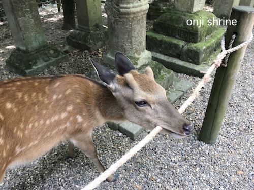 Photo 2019-06-04 11 09 27.jpg