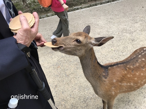 Photo 2019-06-04 11 12 37.jpg