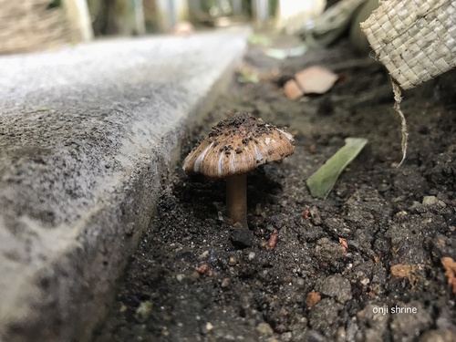 Photo 2019-06-12 8 19 17.jpg
